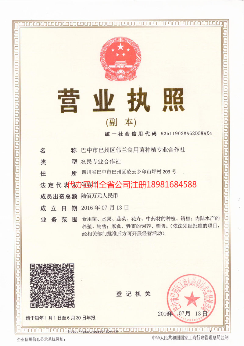 大石桥大石桥伟兰食用菌种植专业合作社