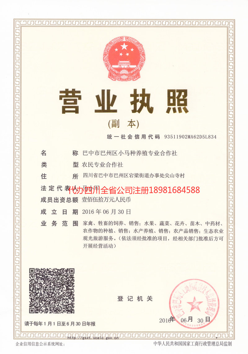 大石桥大石桥小马种养殖专业合作社